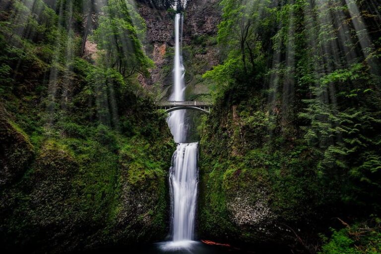 A two-tiered waterfall flows through lush greenery, with a scenic arched bridge spanning the middle, as sunlight filters through the trees.